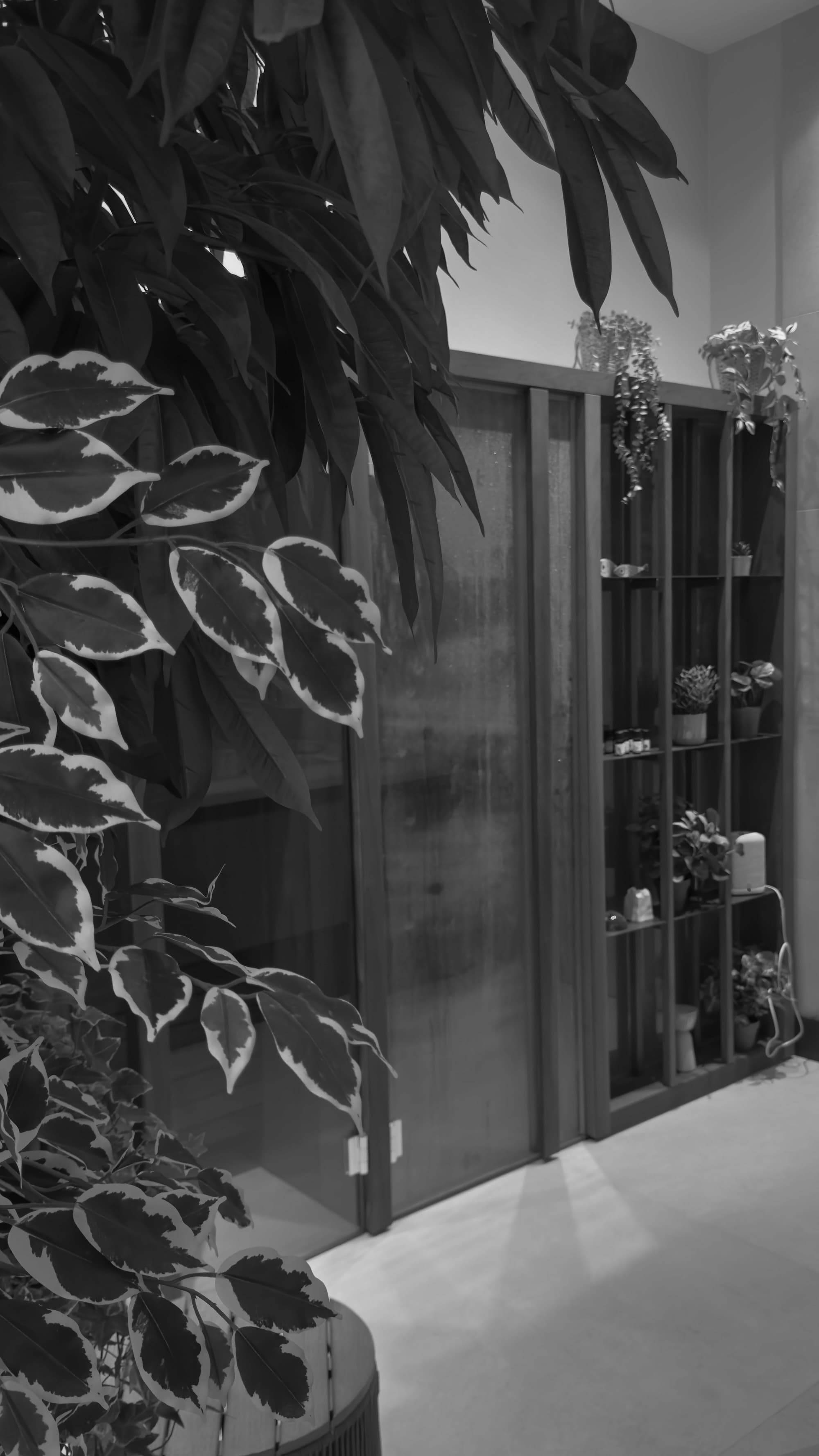 Hammam à vapeur Yoku avec plantes