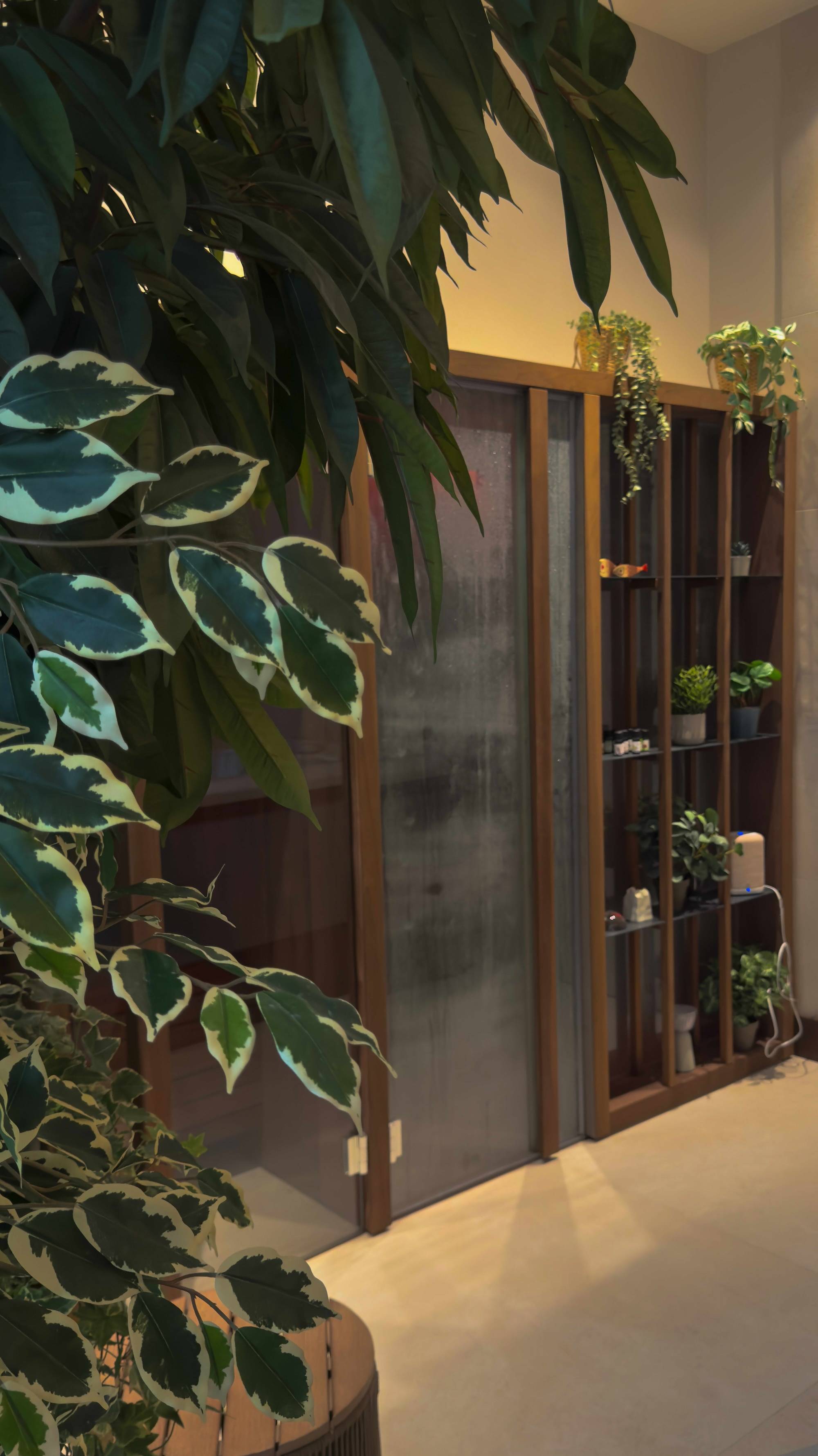 Img 0992%20rt - Attribut alt par défaut.