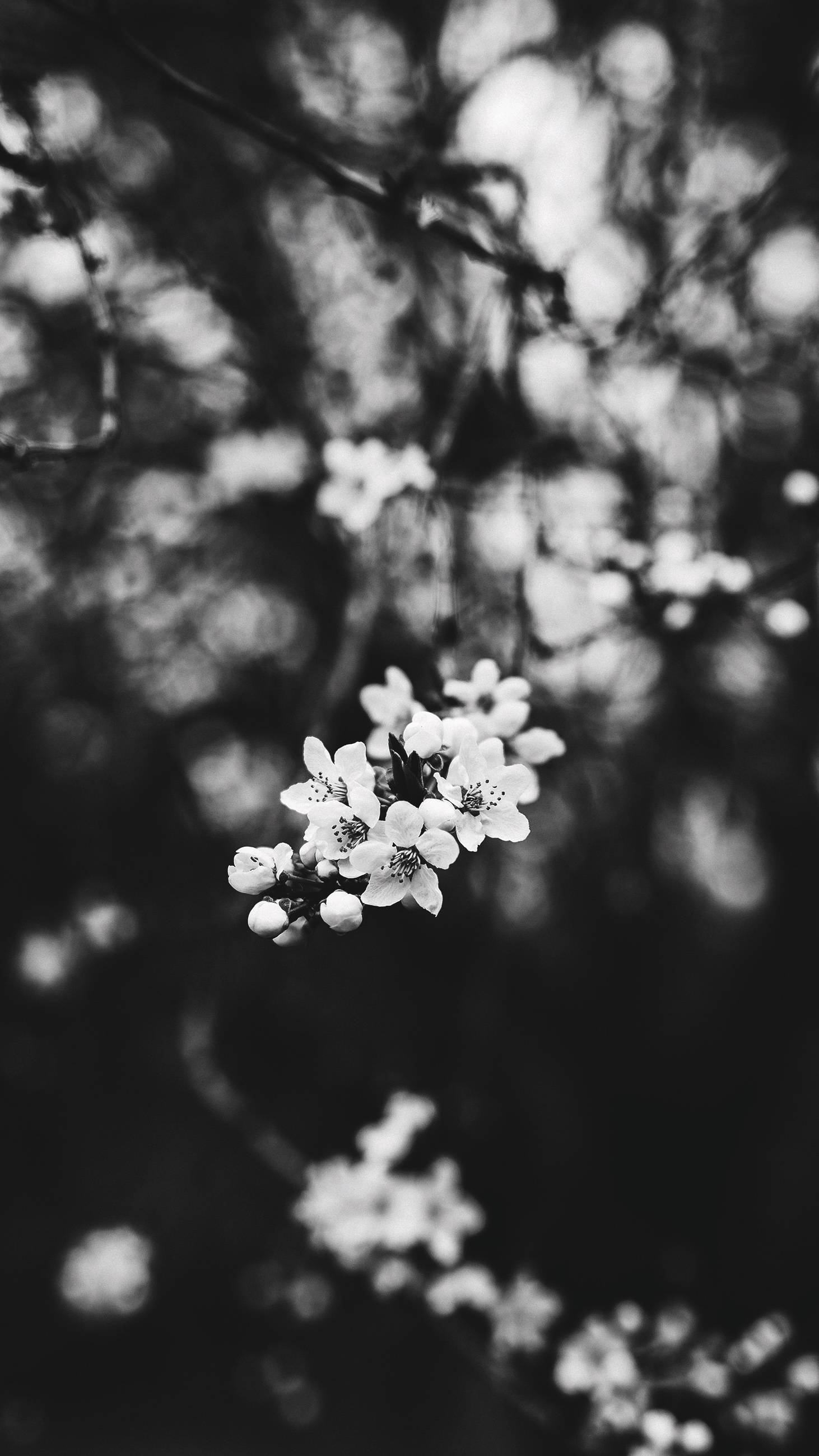 Site%20yoku 14%20(1) - Attribut alt par défaut.